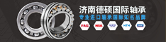 濟南德碩國際貿易有限公司